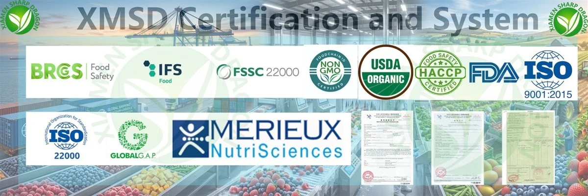 XMSD Certification and System XMSD Certification and System