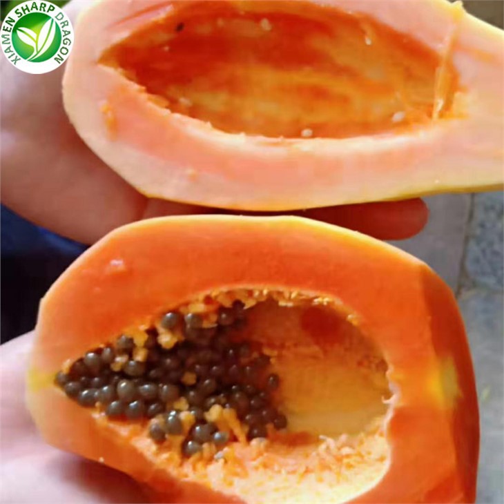 Frozen Papaya On Sale