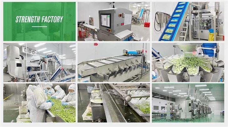 IQF Yellow Peach Factory